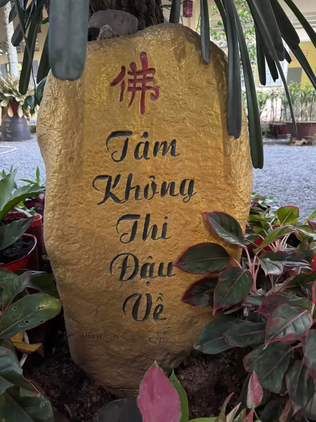 Thien Duong 20