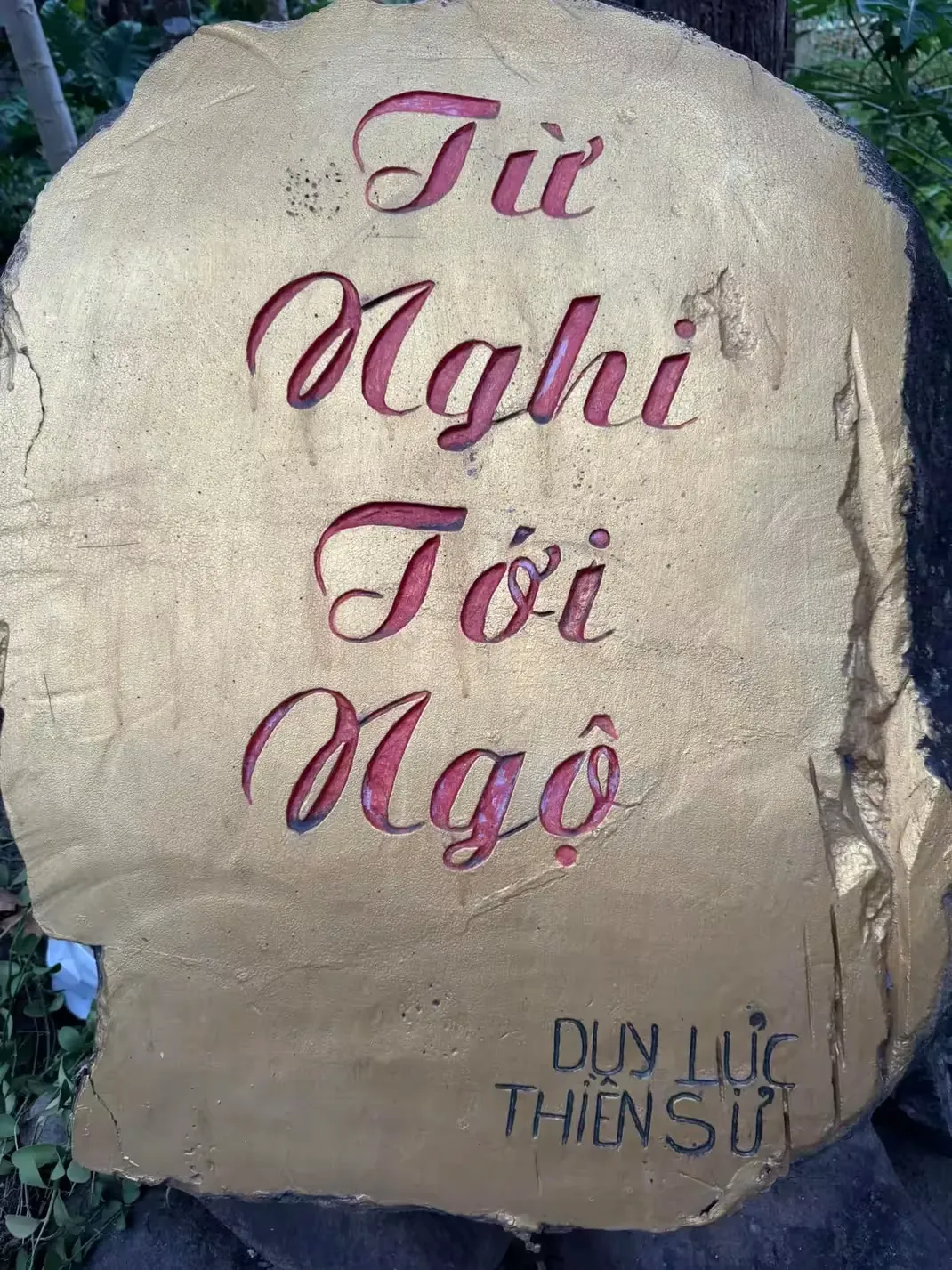 Thien Duong 22
